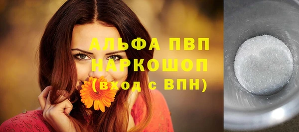 крисы Новокубанск