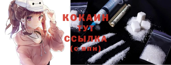 крисы Новокубанск