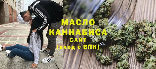 тгк Новозыбков