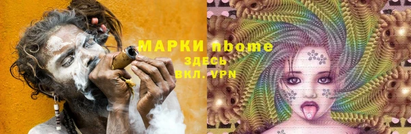 тгк Новозыбков