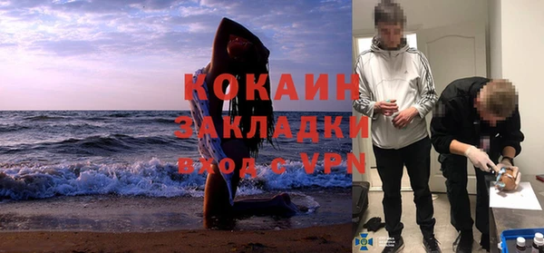 крисы Новокубанск