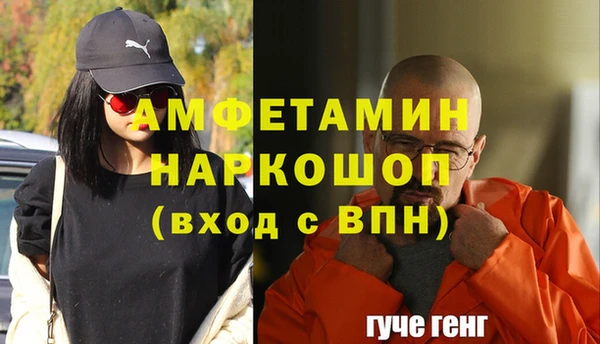 тгк Новозыбков