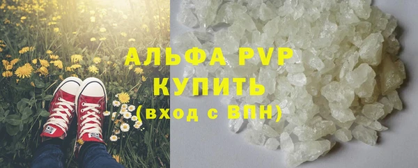 крисы Новокубанск