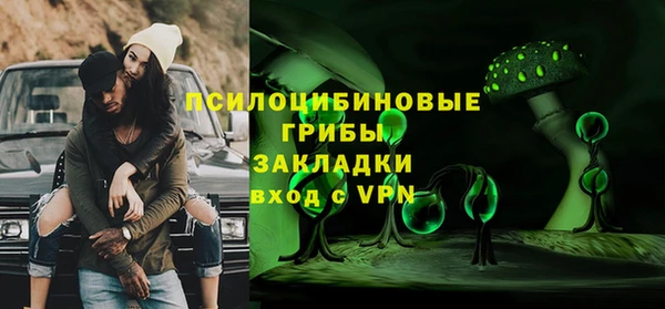 крисы Новокубанск