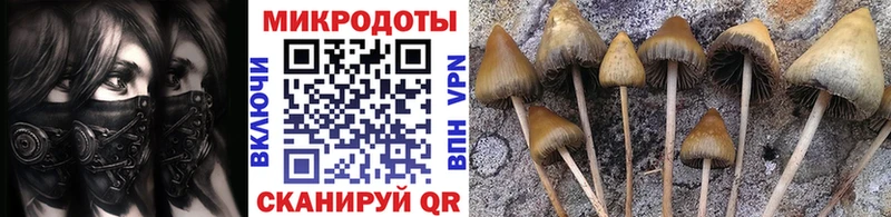 Псилоцибиновые грибы мухоморы  Купить  Нижний Ломов 